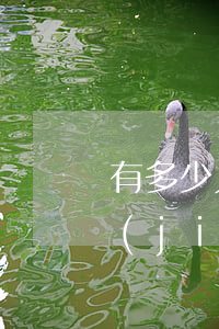 有多少人欠銀行的錢(欠銀行越多的人越有價(jià)值)