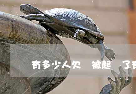 有多少人欠錢被起訴了(有多少人欠錢過日子)