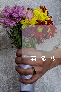 有多少人网贷信用卡逾期