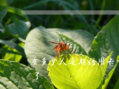 有多少人逾期信用卡(十幾個信用卡全部逾期了)
