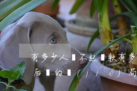 有多少人還不起貸款(有多少人欠債還不起錢,后來的結(jié)局)