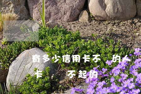 有多少信用卡不還的人(現在有多少人欠信用卡錢還不起的)