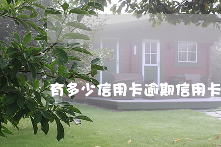 有多少信用卡逾期（信用卡額度少的逾期）