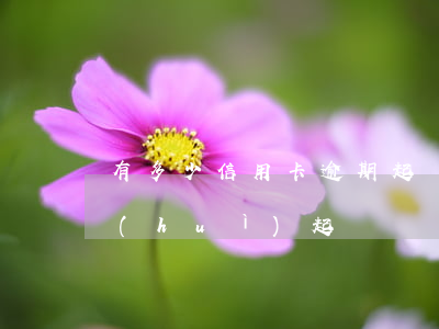 有多少信用卡逾期起訴的(信用卡逾期多少會(huì)起訴)