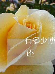有多少博民快易贷逾期的(博民快易贷一年没还)