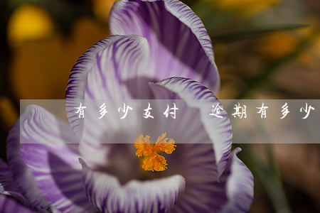 有多少支付寶逾期 有多少支付寶逾期
