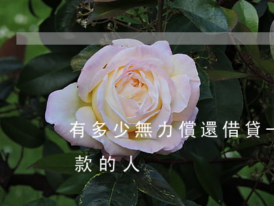 有多少無力償還借貸-有多少無力償還借貸款的人