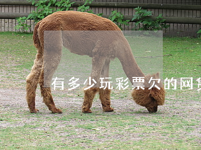 有多少玩彩票欠的网贷(欠网贷买彩票可以吗)