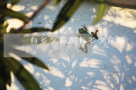 有多少逾期（有多少逾期）