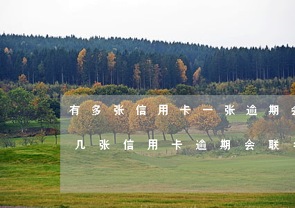 有多张信用卡一张逾期会影响其他的额度吗?（几张信用卡逾期会联名起诉吗法院）