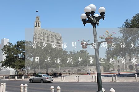 有多张信用卡逾期,应该先还小额还是大额（信用卡逾期少量还款有意义吗）