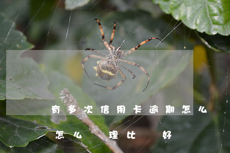 有多次信用卡逾期怎么辦(逾期多年的信用卡怎么處理比較好)