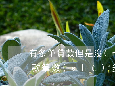 有多筆貸款但是沒(méi)有逾期(征信貸款筆數(shù)多 沒(méi)有逾期)