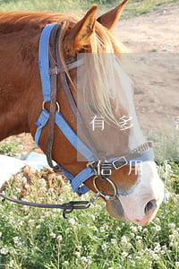 有多還款逾期記錄能辦信用卡嗎(逾期還款的信用卡還能用嗎)