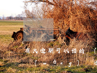 有大逾期可以借的網(wǎng)貸(有很多網(wǎng)貸逾期還可以借嗎)