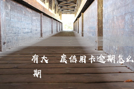 有大額度信用卡逾期怎么辦(有多少信用卡逾期)
