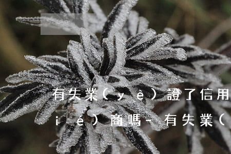 有失業(yè)證了信用卡逾期可以協(xié)商嗎-有失業(yè)證了信用卡逾期可以協(xié)商嗎怎么辦