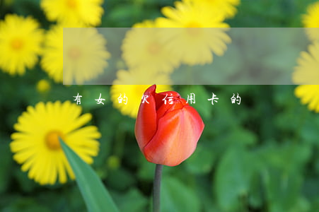 有女的欠信用卡的嗎