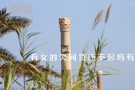 有女的欠网贷还不起吗(有没有欠网贷不还的)