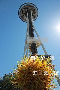 有孕媽欠信用卡的嗎(懷孕期間還不起信用卡怎么辦)