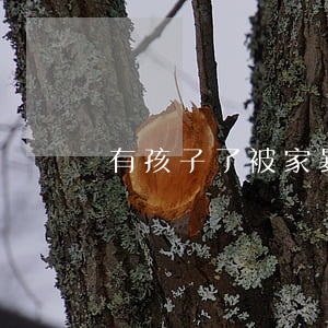 有孩子了被家暴離婚嗎