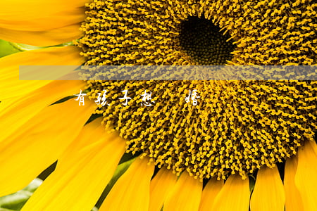 有孩子想離婚