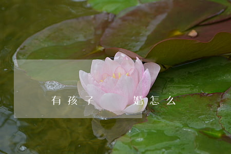 有孩子沒離婚怎么辦