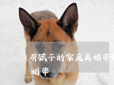 有孩子的家庭离婚率很高吗(婚后没有孩子离婚率)