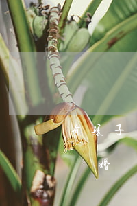 有孩子離婚后怎么斷得更徹底(有了孩子怎么離婚)