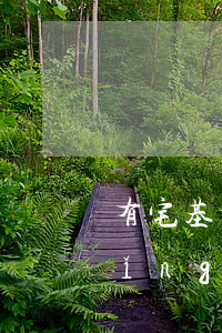 有宅基地的房子怎么拆遷(拆遷戶能申請(qǐng)宅基地嗎)