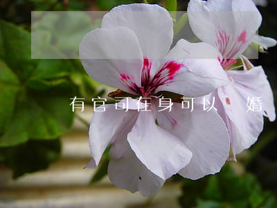 有官司在身可以離婚嗎