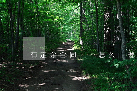 有定金合同糾紛怎么處理