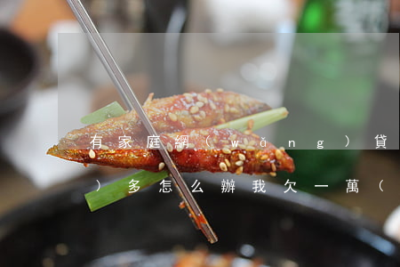 有家庭網(wǎng)貸欠了一萬(wàn)多怎么辦(我欠一萬(wàn)多網(wǎng)貸怎么辦)