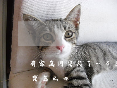 有家庭网贷欠了一万多怎么办(我欠一万多网贷怎么办)