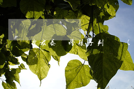 有家暴離婚孩子判給誰(shuí)