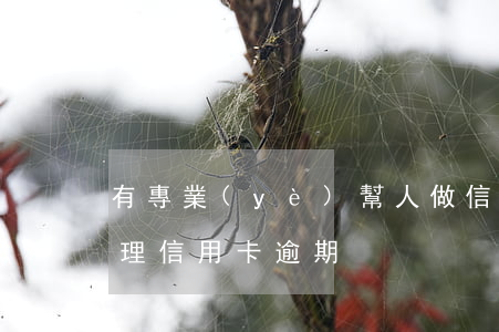 有專業(yè)幫人做信用卡逾期(幫別人處理信用卡逾期)