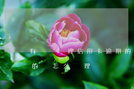 有專門處理信用卡逾期的嗎（信用卡長期逾期的會怎么處理）