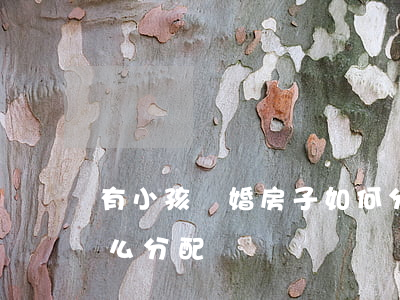 有小孩離婚房子如何分配，離婚有小孩房子怎么分配