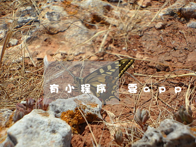 有小程序還要app嗎(小程序和app)