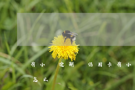 有小額逾期辦信用卡(有小額逾期辦信用卡會怎么樣)