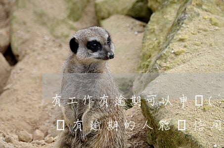 有工作有逾期可以申請(qǐng)信用卡嗎(有逾期的人能辦信用卡)