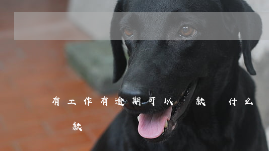 有工作有逾期可以貸款嗎(什么貸款逾期可以貸款)