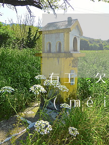 有工資欠條可以直接向法院起訴嗎(欠工資沒(méi)欠條怎么起訴)