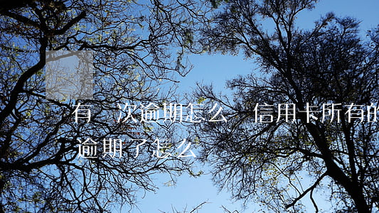 有幾次逾期怎么辦信用卡(所有的貸款信用卡逾期了怎么辦)
