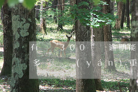 有幾筆300塊錢逾期能辦房貸嗎 逾期三百多塊錢嚴(yán)重嗎