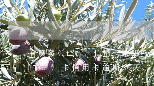 有廣發(fā)信用卡逾期一年的嗎(廣發(fā)卡信用卡逾期3天)