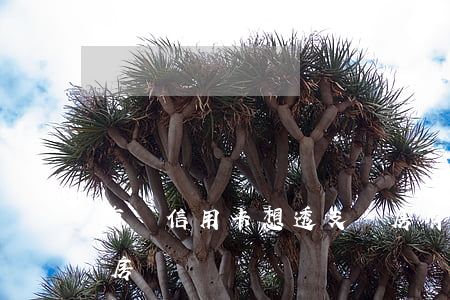 有張信用卡想透支買房(有張信用卡想透支買房)