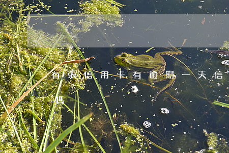 有張信用卡有逾期一天(信用卡逾期一天礙事嗎)