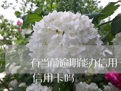 有当前逾期能办信用卡吗-有逾期还能办理信用卡吗
