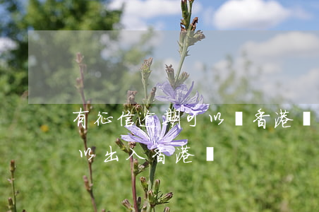 有征信逾期可以過香港嗎-如果征信不好可以出入香港嗎